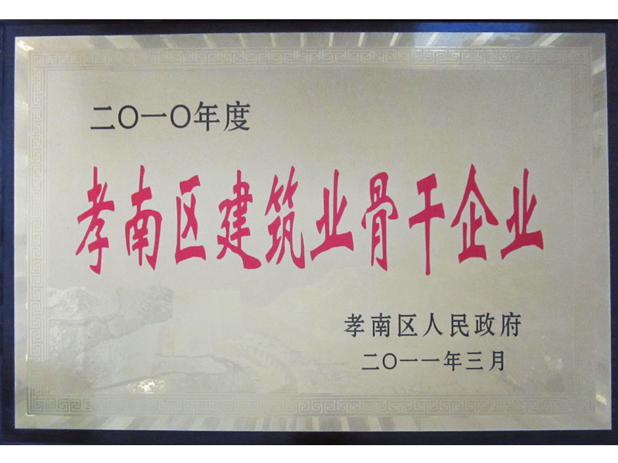 2010年孝南區骨干企業